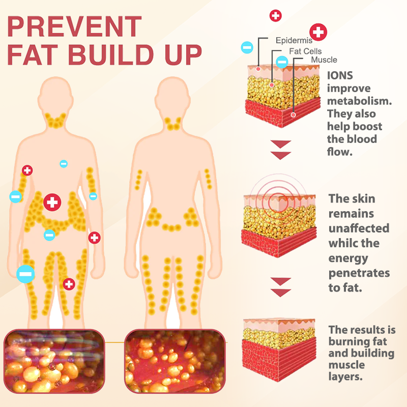 KISSHI™ High Waist Briefs