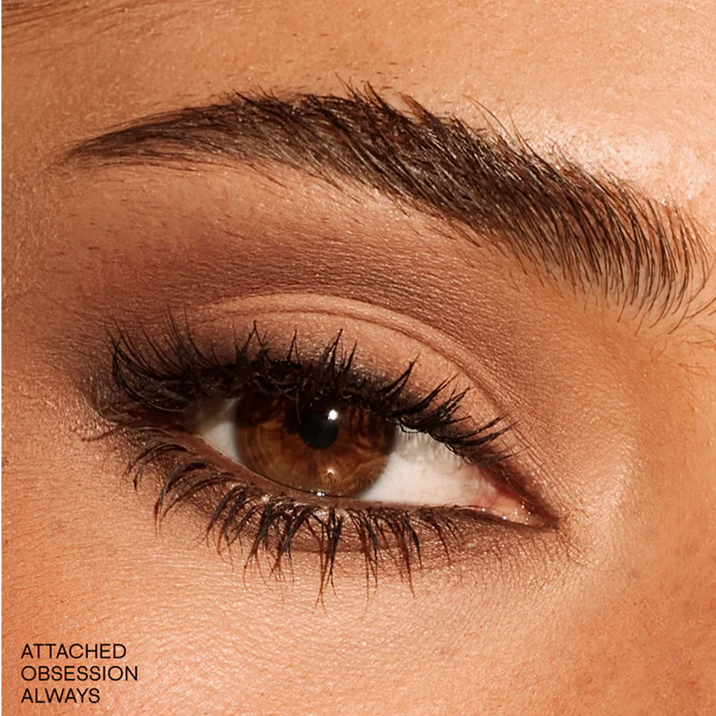 Essential Eye Artistry Set_Ultra02