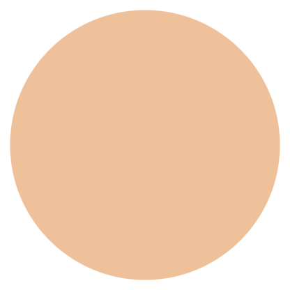 ELPOEL Blanc Cover Cream Stick V with Detachable Brush